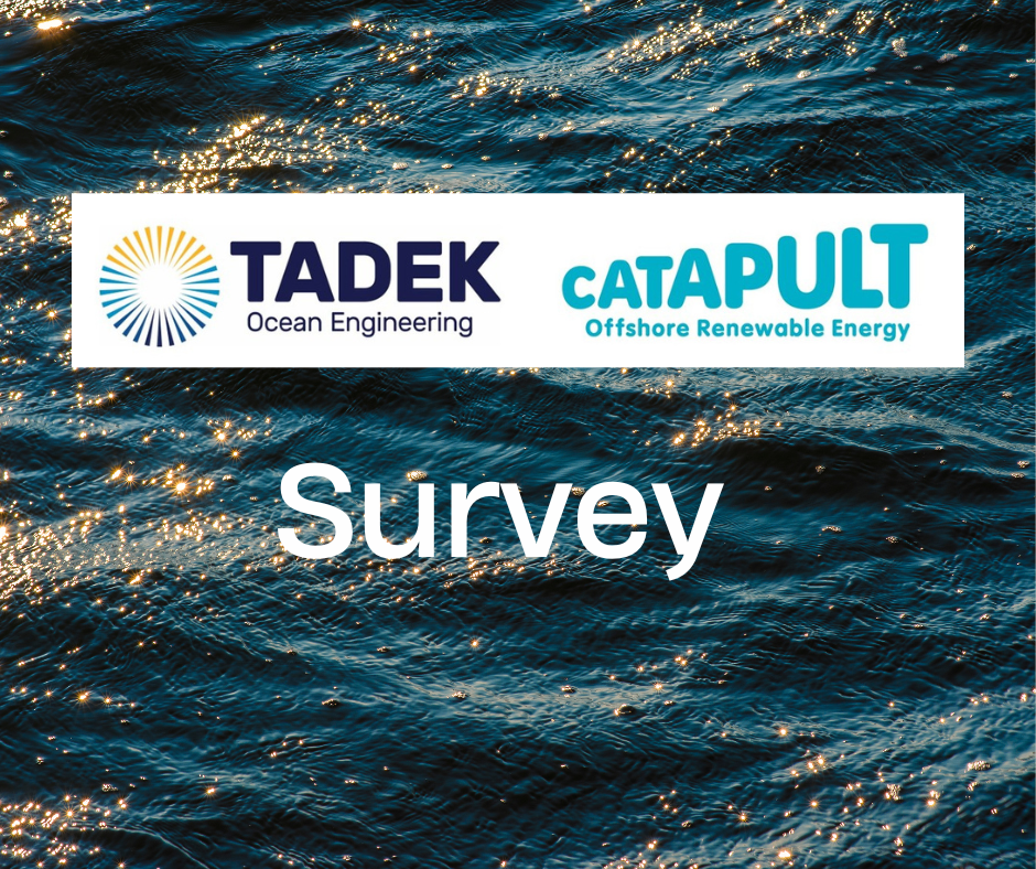 Survey on Dynamic Cable Interface Solutions for Floating Offshore Wind