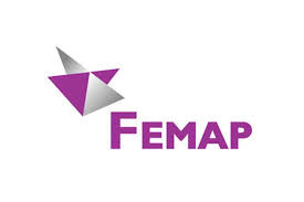 Femap